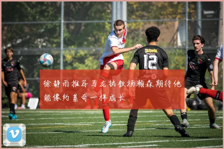 徐静雨推荐马龙执教杨瀚森期待他能像约基奇一样成长