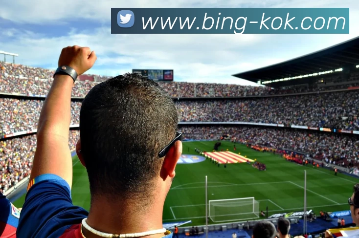 KOK体育服务体系